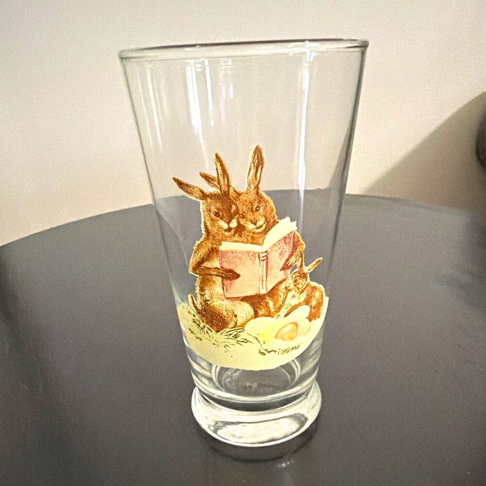 Clear Tapered Glass Drinking Tumbler 12 oz Rabbit Reading Book Graphic Toledo